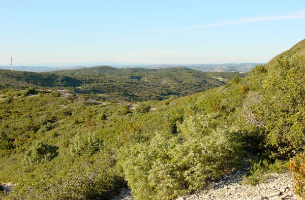 View from the Montagnette