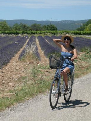 Cycling in Provence