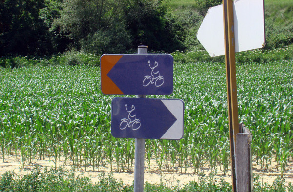 Cycling in Provence